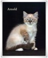/album/arnold/arnold-12-hetes-003-jpg/
